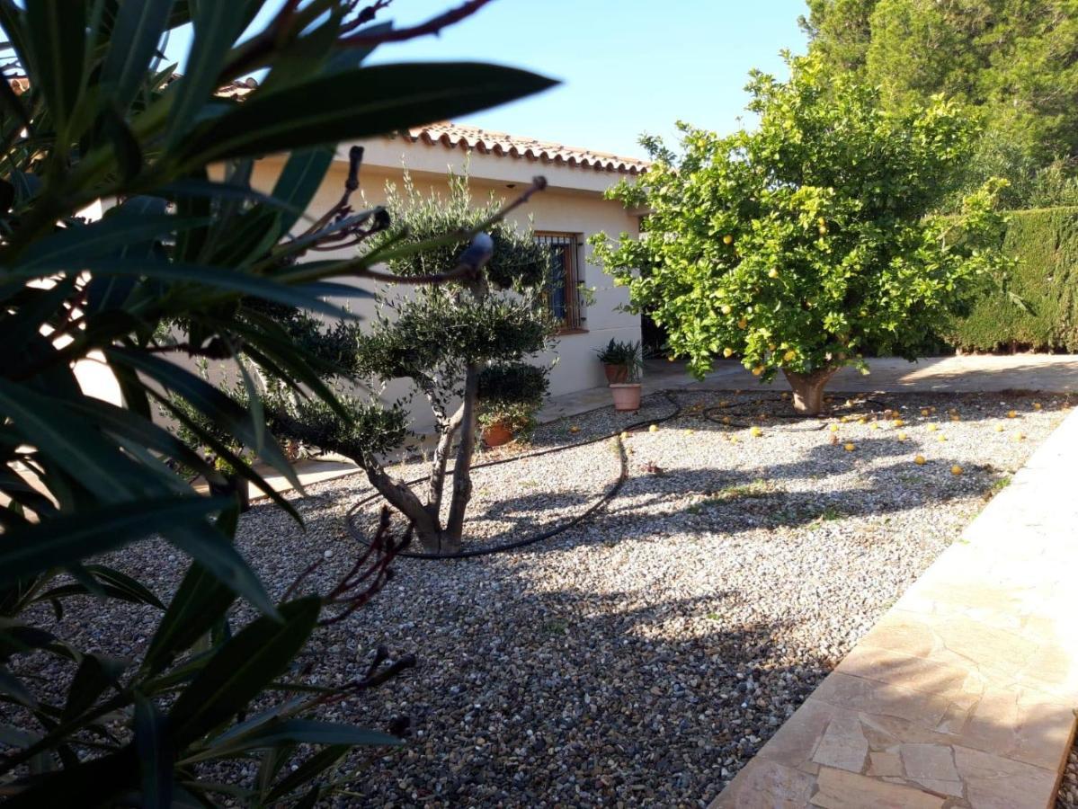 Casa La Rana Villa Calafat Dış mekan fotoğraf